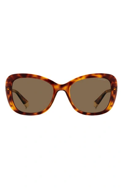 Polaroid 53mm Polarized Cat Eye Sunglasses In Havana/ Bronze Polar