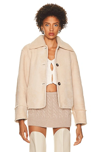 Loulou Studio Vika Shearling Jacket In Cream