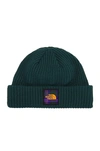 The North Face Salty Dog Beanie In Ponderosa Green & Ponderosa Green Medium