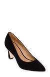 Bernardo Faryn Pointed Toe Pump In Black Suede