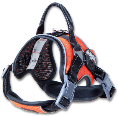 Dog Helios 'scorpion' Sporty High-performance Free-range Dog Harness In Orange