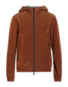 Herno Jackets In 8060