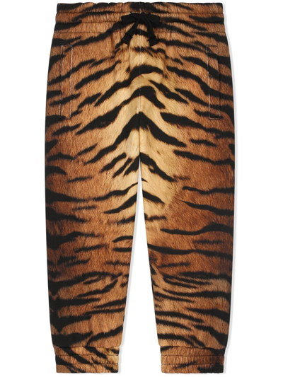 Dolce & Gabbana Kids' Tiger-print Jogging Pants In Brown