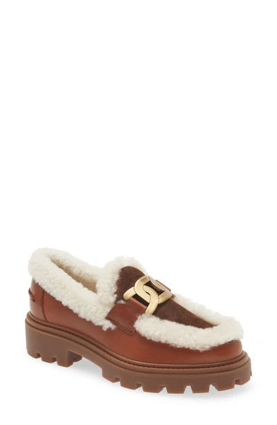 Tod's Gomma Pes Genuine Shearling Trimmed Loafer In Light Brown
