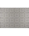 NICOLE MILLER PATIO COUNTRY DANICA AREA RUG