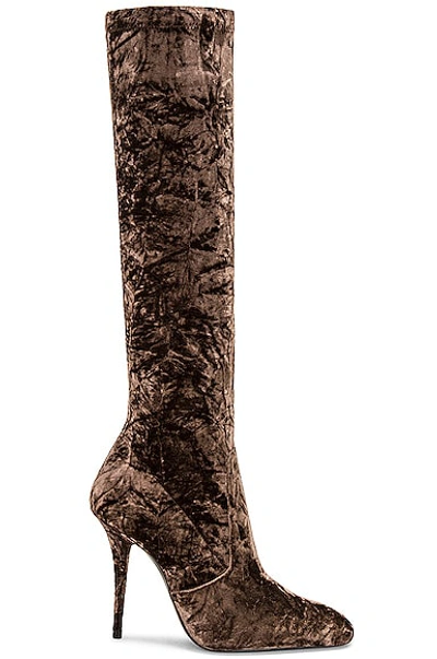 Saint Laurent Ella Velvet 110mm Thigh-high Boots In Braun