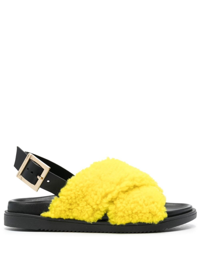 Pollini Crossover Sheepskin Sandals In Yellow