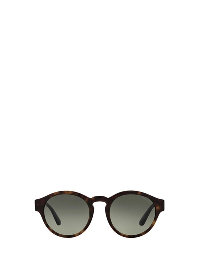 Giorgio Armani Ar8146 Havana Sunglasses