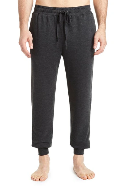 Rainforest French Terry Joggers In Dark Charcoal Heather