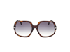 Tom Ford Delphine Tortoiseshell Acetate Butterfly Sunglasses In Brown