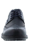 English Laundry Fame Brogue Leather Derby In Navy