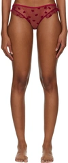 Le Petit Trou Bouche Embroidered Briefs In Claret
