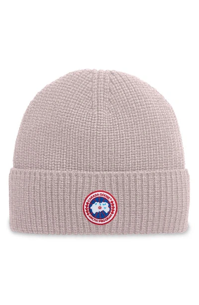 Canada Goose Arctic Disc Ribbed Toque Beanie In Lucent Rose