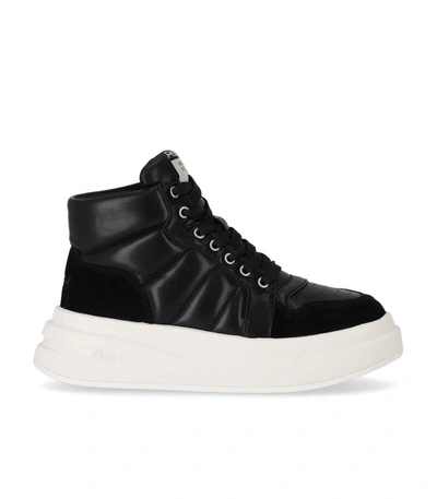 Ash Imagine Black High Top Trainer