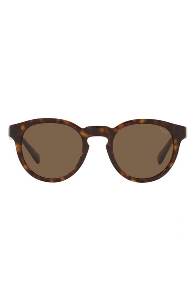 Polo Ralph Lauren 49mm Round Sunglasses In Shiny New Jerry Tortoise