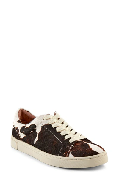 Frye Ivy Genuine Calf Hair Low Top Sneaker In Black Brown Leather