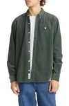Carhartt Madison Corduroy Button-down Shirt In Wax