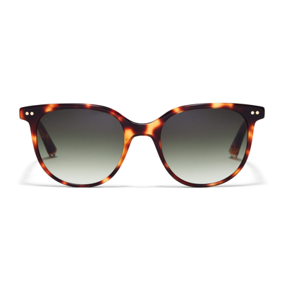 Taylor Morris Eyewear Faraday Sunglasses