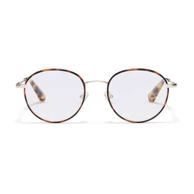Taylor Morris Eyewear Hampstead Glasses In Neutrals