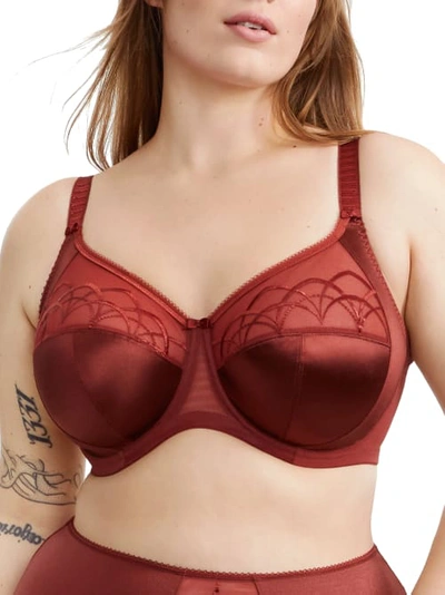 Elomi Cate Side Support Bra In Dark Copper