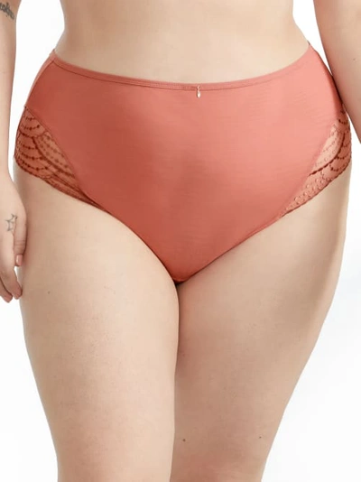 Elomi Priya Full Brief In Rose Gold