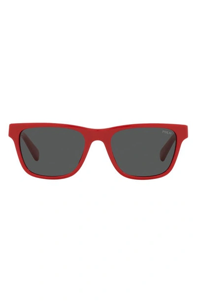 Polo Ralph Lauren Kids' 49mm Cat Eye Sunglasses In Red