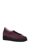 Amalfi By Rangoni Erik Wedge Sneaker In Bordeaux Parmasoft Cashmere