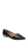 Linea Paolo Nasya Pointed Toe Flat In Black