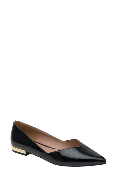 Linea Paolo Nasya Pointed Toe Flat In Black