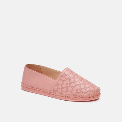 Coach Carley Espadrille In Candy Pink