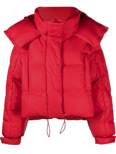 Bacon Feather-down Puffer Coat In Red