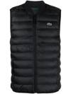 LACOSTE EMBROIDERED-MOTIF PADDED GILET