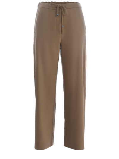 's Max Mara Trousers S Max Mara Woman In Cammello