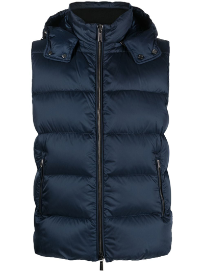 Moorer Fayer Hooded Padded Gilet In 蓝色