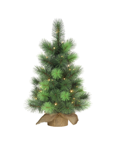 Puleo Pre-lit Table Top Artificial Christmas Tree With 35 Lights In Sac, 2' In Green
