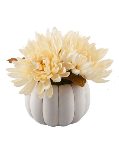 Flora Bunda Ceramic Pumpkin Mums Pot, 4" In White