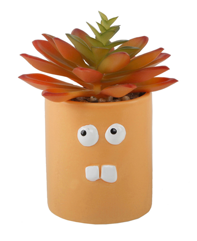 Flora Bunda Faux Succulent In Ceramic Pot Crazy Eyes, 3.55" In Orange