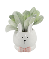 FLORA BUNDA LAMB'S EAR CERAMIC BUNNY WITH PINK BOW, 4"