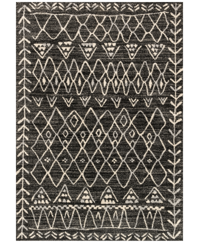Spring Valley Home Closeout! Loloi Emory Eb-09 Black/ivory 3'10" X 5'7" Area Rug