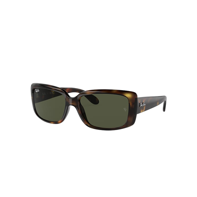 Ray Ban Rb4389 Sunglasses In Havana