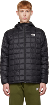The North Face Black Thermoball Eco Packable Jacket In Jk3 Tnf Black
