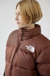 The North Face Brown 1996 Retro Nuptse Puffer Jacket In Brown