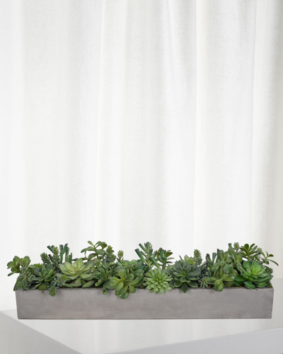 Ndi Faux Succulent Plant In Rectangle Concrete Planter