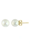 Effy 14k Yellow Gold 7-8mm Freshwater Pearl Stud Earrings In White