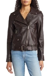 Sam Edelman Belted Moto Jacket In Brown