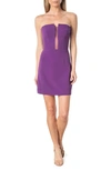 Dress The Population Chloe Illusion Inset Strapless Minidress In Purple