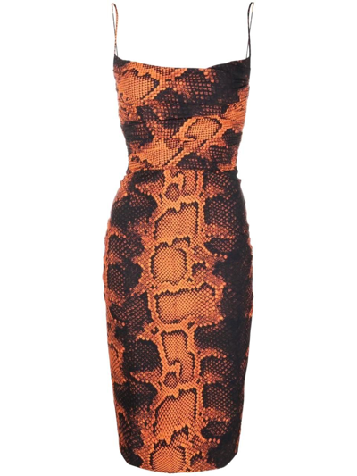 Roberto Cavalli Snakeskin print Fitted Midi Dress In Orange ModeSens
