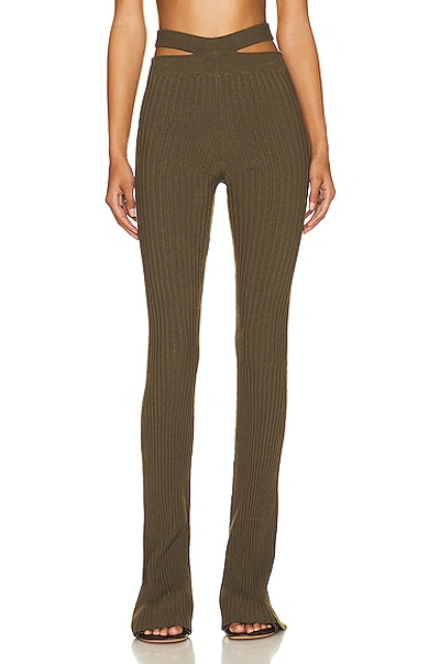 Andreädamo Ribbed Knit Flare Trouser With Cut Out In 006 1106 Amazonia