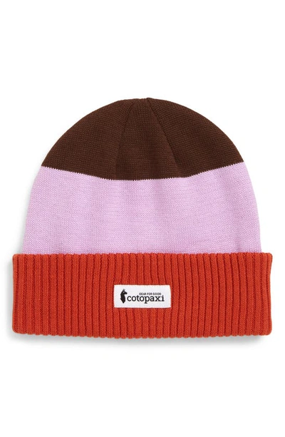 Cotopaxi Alto Colorblock Beanie In Spice Thistle