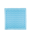 Alexander Mcqueen Foulard In Blue